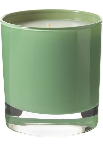 Bergamot Garden Mum 200GR