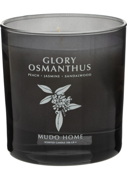 Glory Osmanthus Mum 200GR