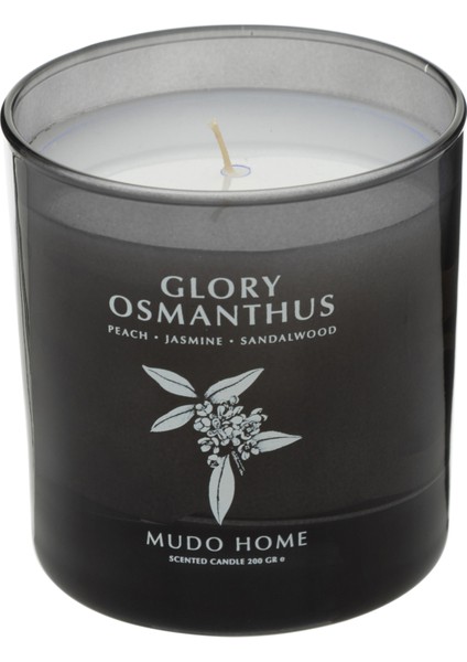 Glory Osmanthus Mum 200GR fiyatları