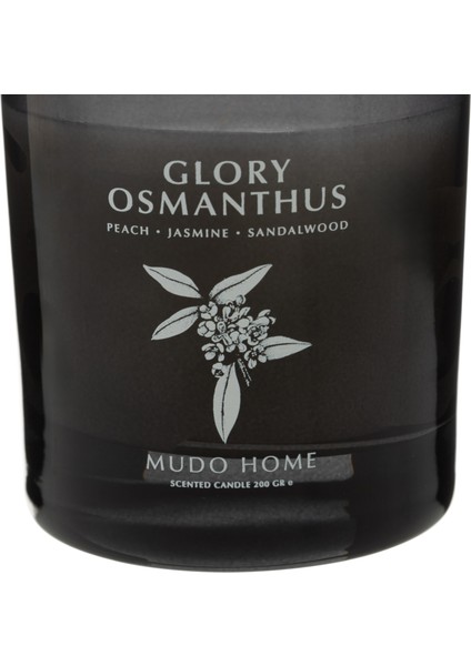 Glory Osmanthus Mum 200GR modelleri