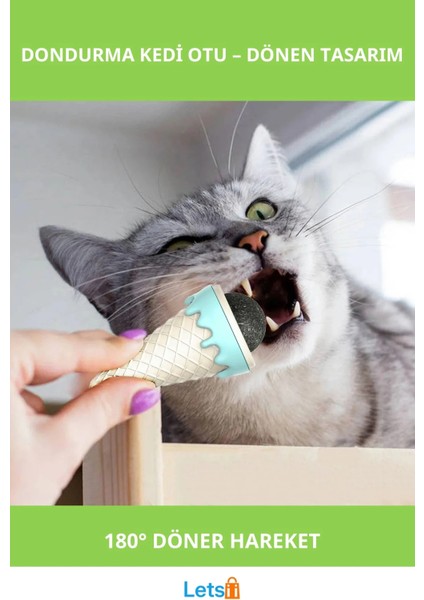 Dondurma Şeklinde Kedi Otu Nanesi Eğlenceli Oyun Fikri