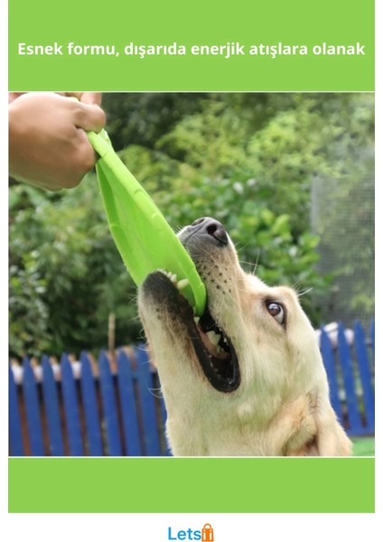 Renkli Silikon Frizbi Köpek Oyuncağı 17.5 cm fiyatları