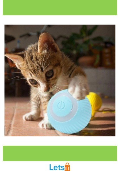 Şarjlı Etkileşimli Kedi Köpek Oyun Topu Güvenli ve Eğlenceli modelleri