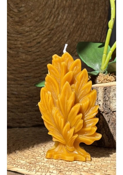 Balmumu Ağaç Modeli Mum