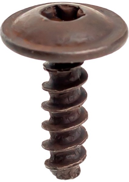 Audi, Skoda, Seat, Volkswagen Için Torx Uyumlu Davlumbaz TX25 Vidası