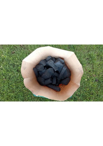 Piknik Mangal Kömürü - 2.5kg Bbq modelleri