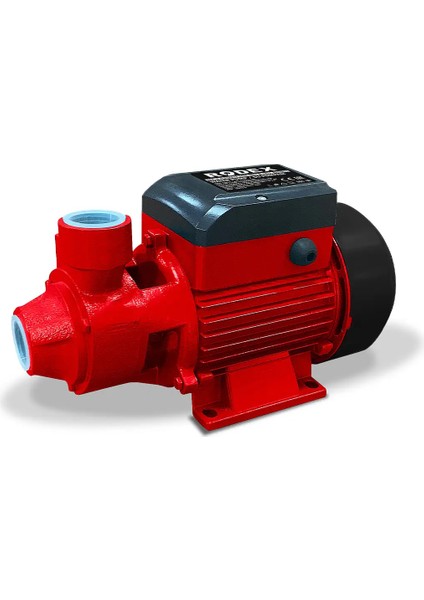 RDX874 Su Pompası 750W