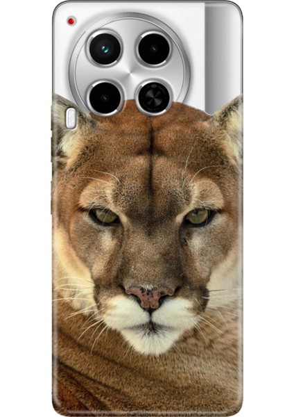 Tecno Camon 30 Kılıf Camon 30 Desenli Baskılı Silikon Asil Aslan Kaplan