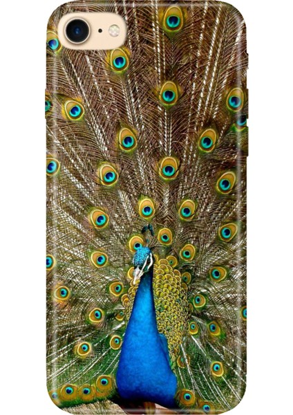 iPhone 7 8 Se 2020 2022 Uyumlu Kılıf Desenli Baskılı Silikon Tavuz Kuşu