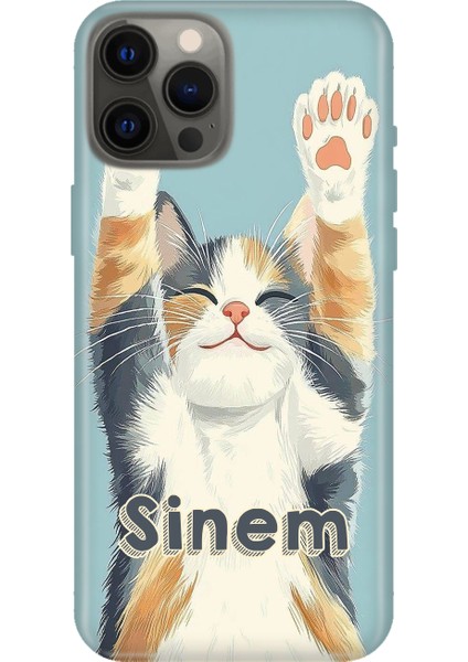 Xiaomi Redmi Note 7 8 9 10 10S 11 12 13 14 15 Pro Plus Kılıf Kişiye Özel Isim Yazılı Silikon ÇIZIM-110