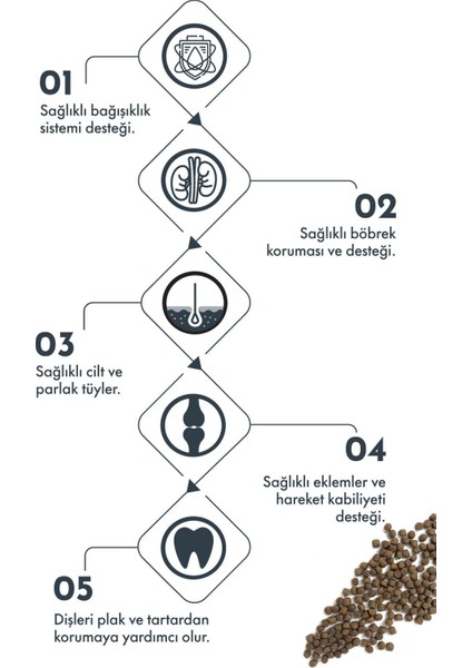 Kuzu Etli ve Yaban Mersinli Küçük Irk Yavru Köpek Maması 7 kg modelleri