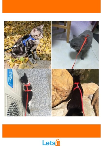 Ayarlanabilir Renkli Kedi Tasması 120CM modelleri