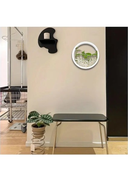 Modern Stil Duvar Bitki Saksısı – Evinize Doğallık Katın modelleri