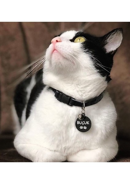 Yuvarlak Siyah Köpek Isimliği / Künyesi