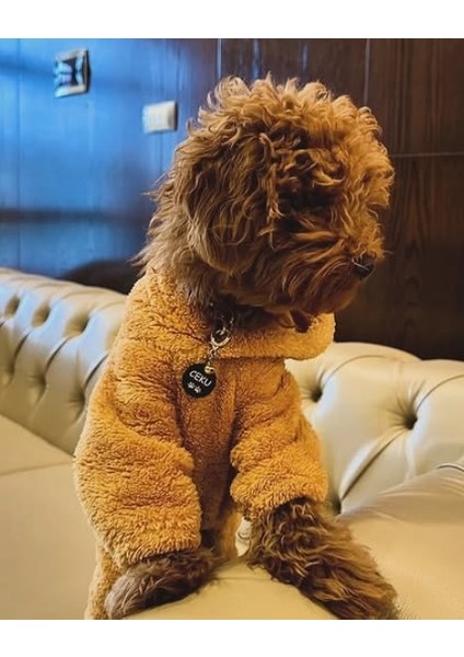 Yuvarlak Siyah Köpek Isimliği / Künyesi fiyatları