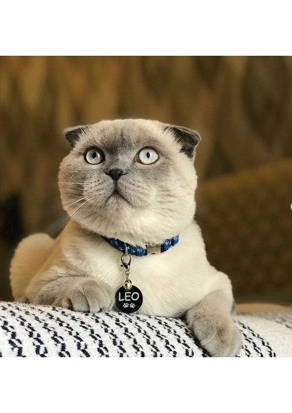 Yuvarlak Siyah Köpek Isimliği / Künyesi modelleri