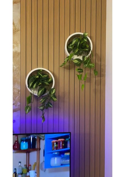 Modern Stil Duvar Bitki Saksısı Set Halinde (2 Adet Yapay Çiçek , 300GR Beyaz Çakıl Taşı ) fırsatları