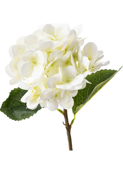 SINGLE ORTANCA ÇİÇEK BEYAZ 42CM fiyatları