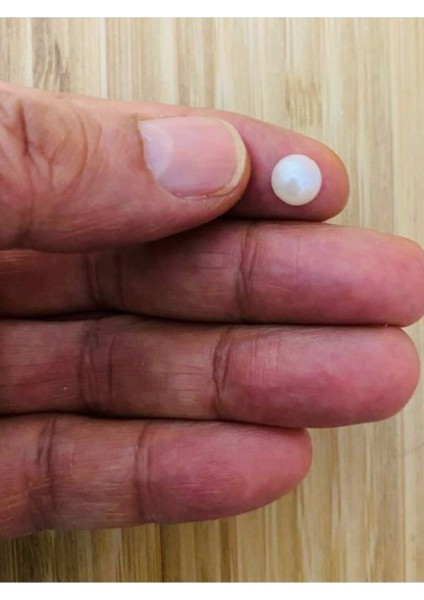 Yapıştırmalı Kaplama Plasrik Yarım Inci. Beyaz. 8mm. Tahmini: 125-130 Adet Civarında modelleri