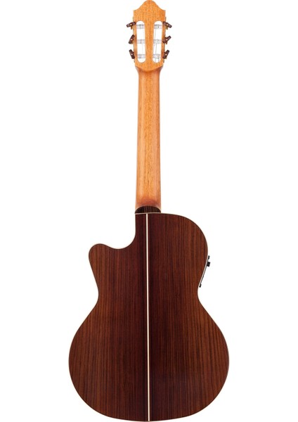 F65CW-SB Elektro Klasik Gitar (Sunburst) fiyatları