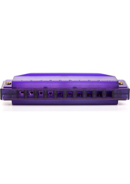 Translucent Do Majör Mızıka (Mor) modelleri