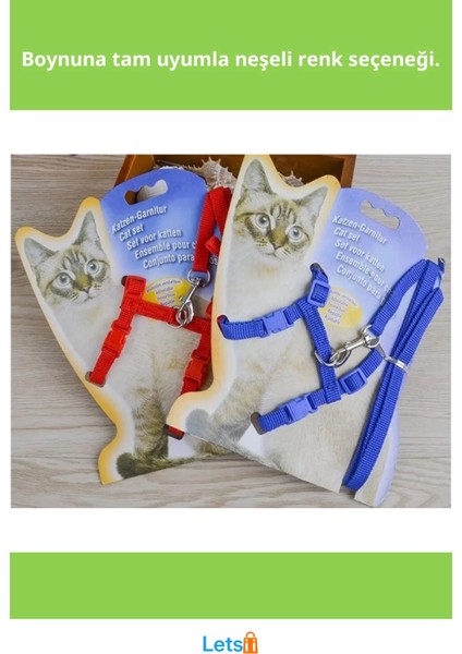 Ayarlanabilir Kedi Boyun ve Göğüs Tasması Rahat ve Güvenli fiyatları
