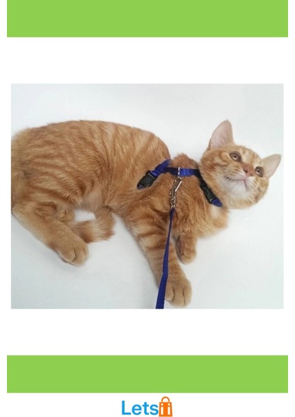 Ayarlanabilir Kedi Boyun ve Göğüs Tasması Rahat ve Güvenli modelleri