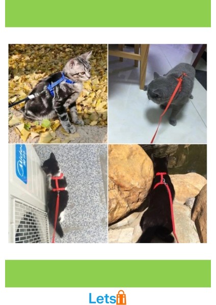 Ayarlanabilir Kedi Boyun ve Göğüs Tasması Rahat ve Güvenli indirimleri