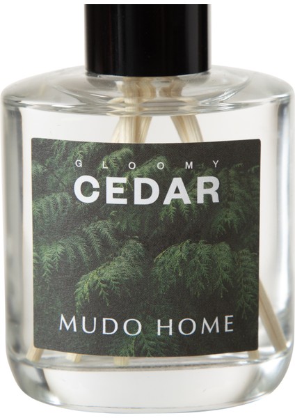 Gloomy Cedar Oda Kokusu 95 ml indirimleri
