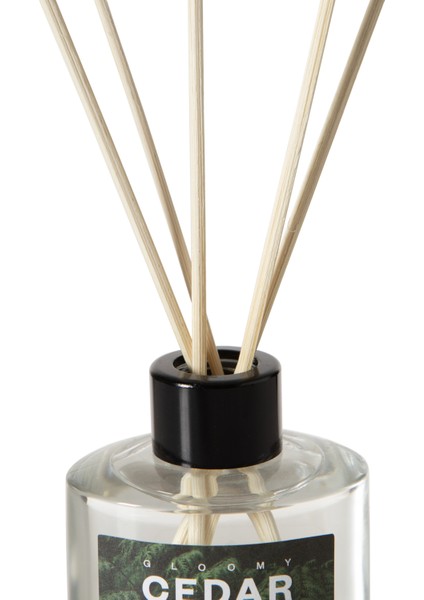 Gloomy Cedar Oda Kokusu 95 ml