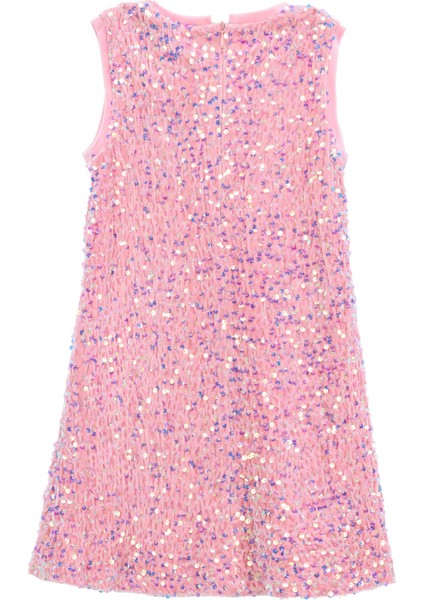 Pullu Gül Kurusu Kız Çocuk Abiye Elbise BRB5WG-ELB6660 fiyatları