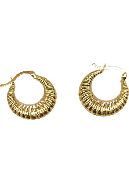 19.4mm Istiridye Halka Küpe 14 Ayar Altın Hd Videolu