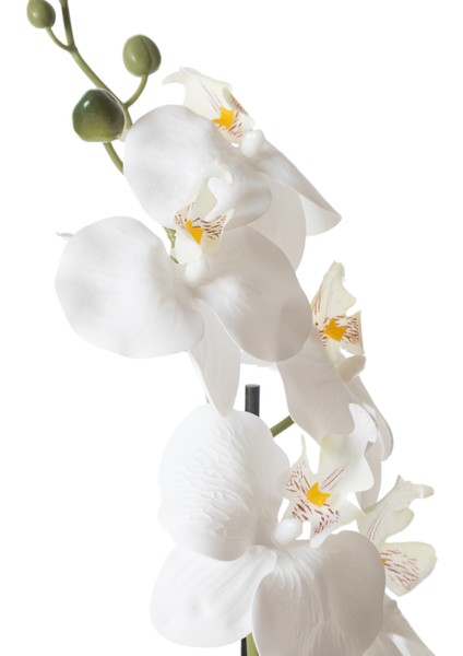 Rıva Saksılı Orkide 53 cm modelleri