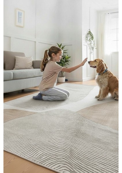 Salon Halısı Iskandinav Sade Tasarım Makinede Yıkanabilir | ND9001A fırsatları