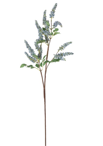 Mine Çiçeği Mavi 90CM