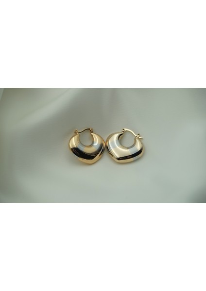 Çelik Eclat Küpe fiyatları