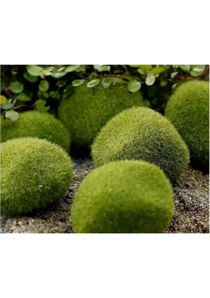 Yapay Akvaryum Yosunu 10 Adet