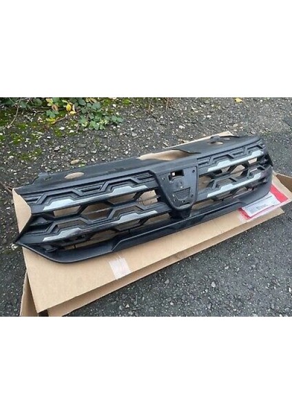 Renault Jogger 2021- Panjur Oem No (622560884R)