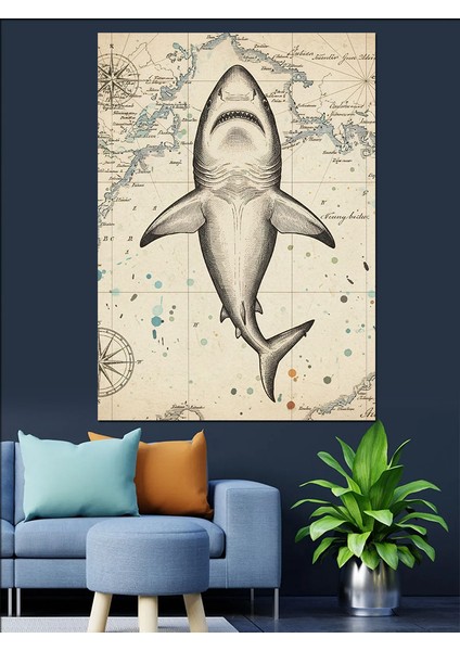 Köpekbalığı Haritası Illüstrasyon Dekoratif Kanvas - Mdf Ahşap Tablo modelleri