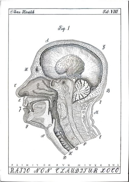 Ivan Kovacik 29X21CM Orijinal Karikatür Tablo modelleri