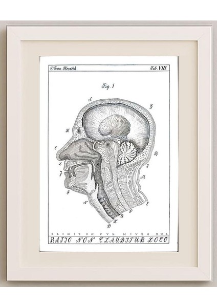 Ivan Kovacik 29X21CM Orijinal Karikatür Tablo fırsatları