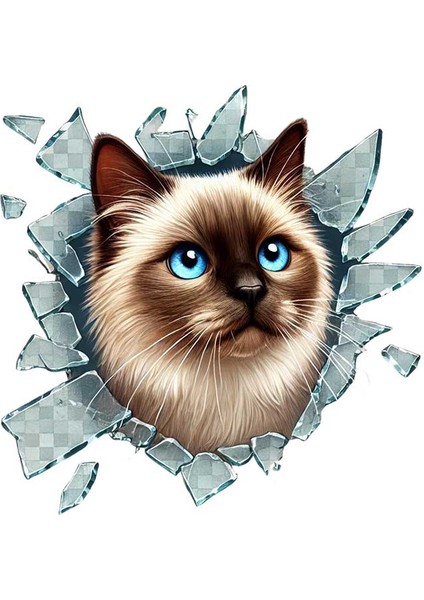 Fulcar Siamesse Araç Stickerı fiyatları