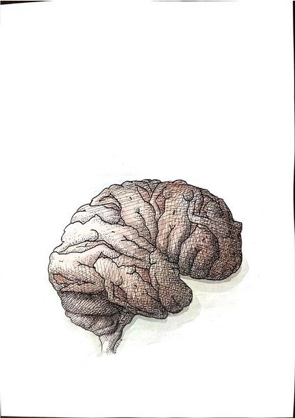 Ivan Kovacik 29X21CM Orijinal Karikatür Tablo modelleri