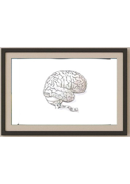 Ivan Kovacik 29X21CM Orijinal Karikatür Tablo