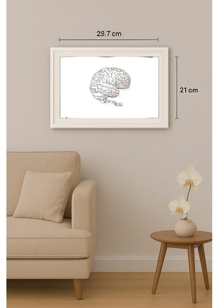 Ivan Kovacik 29X21CM Orijinal Karikatür Tablo indirimleri