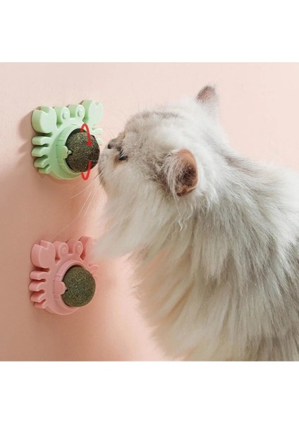 Yengeç Kedi Otu Oyun Topu fırsatları