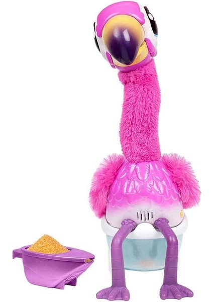 Dans Eden Flamingo LPG00000 fırsatları