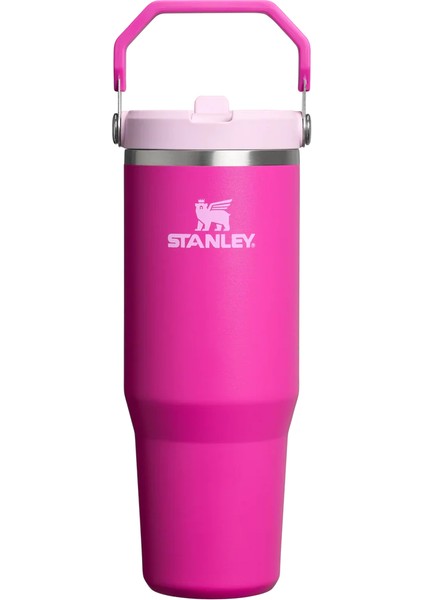 The Iceflow Flip Straw Pipetli Termos Bardak 0,89 Lt