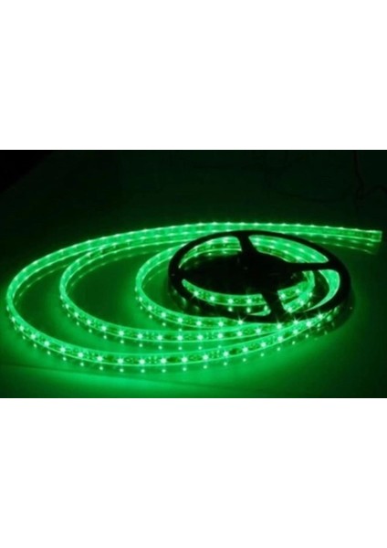 5 Metre Cata Ct 4483 10 Çip Iç Mekan Şerit LED Yeşil 12V fırsatları