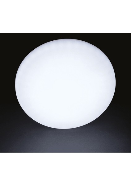 Noas YL12 3600 Sıva Altı 36W Ayarlanabilir LED Spot 6500K Beyaz modelleri